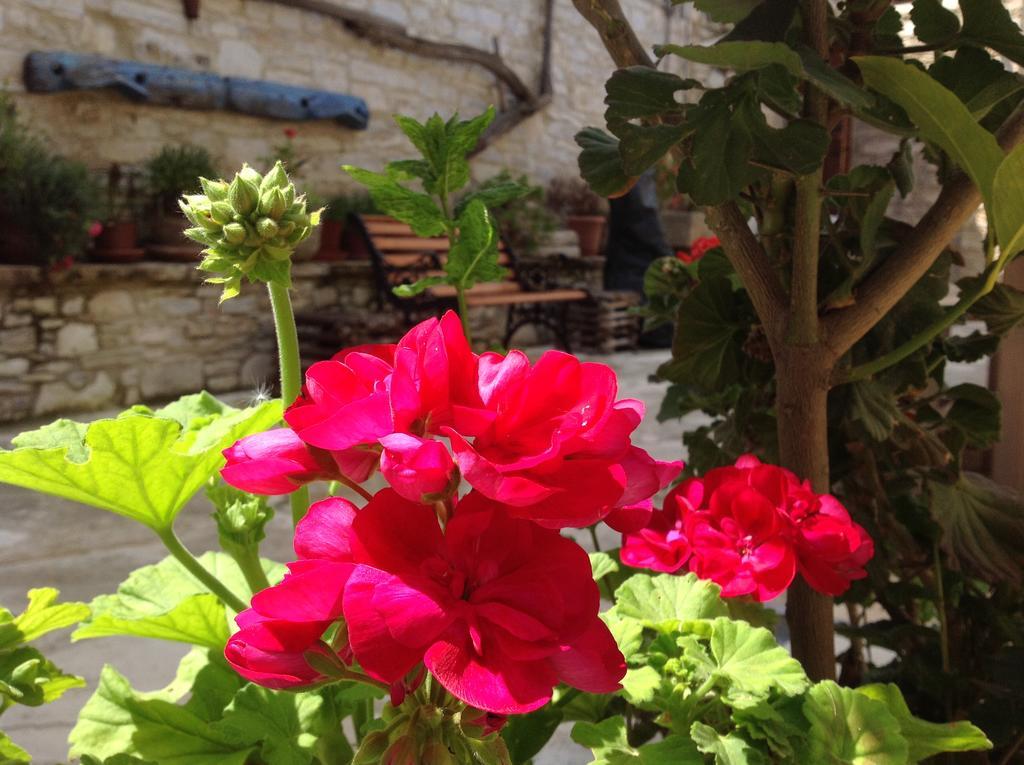 Vavla Rustic Retreat Vendégház Kültér fotó